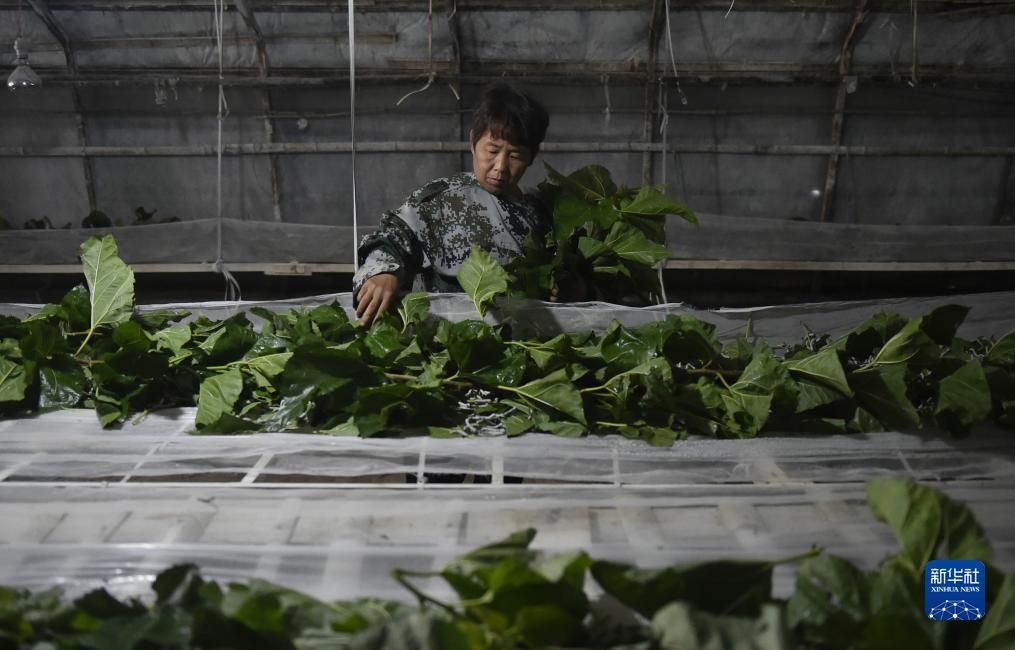 合乐888登录首页